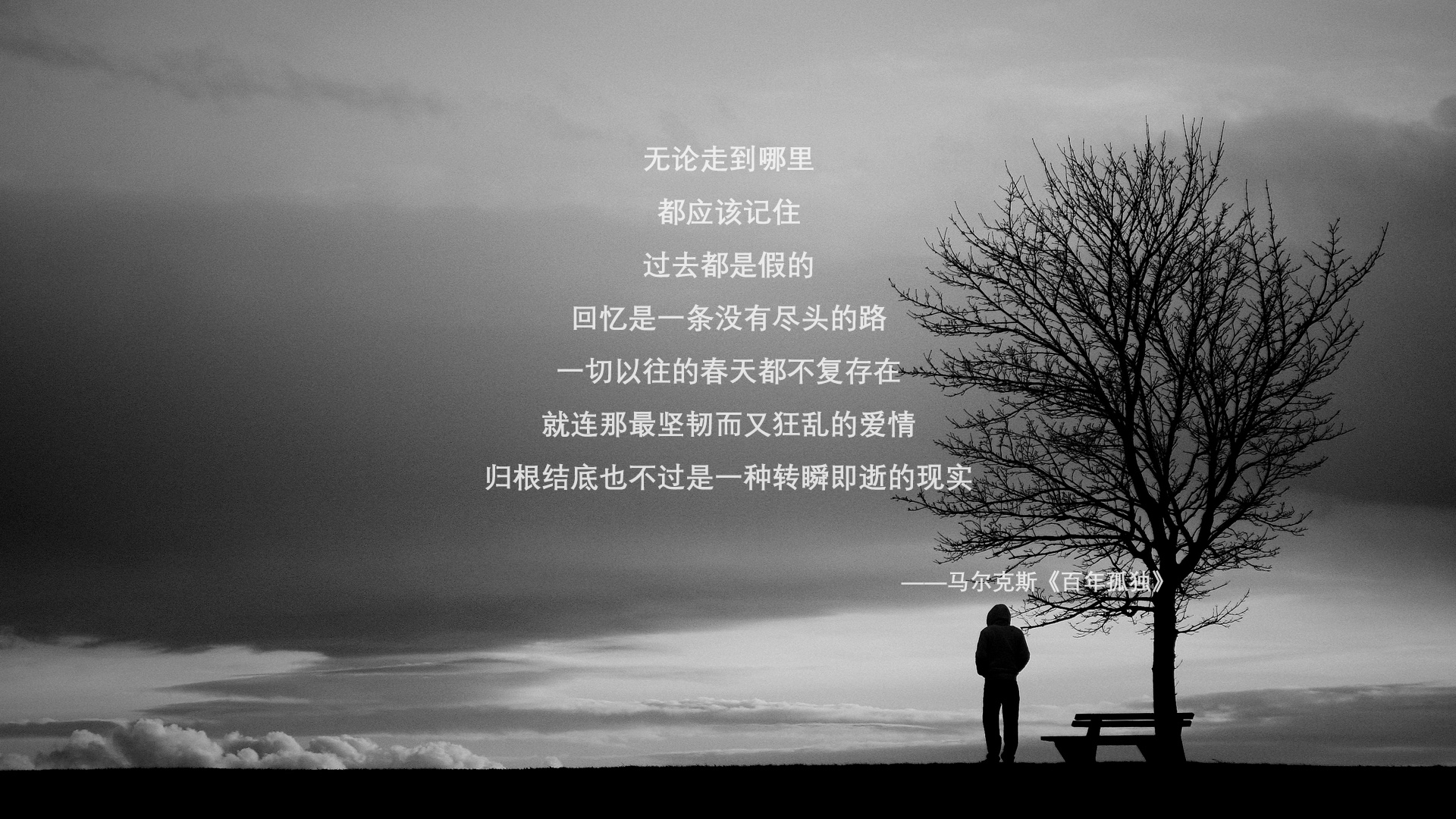 -中国篮球明星荣获年度体育盛典最佳运动员奖，中国体育篮球明星有哪些人物