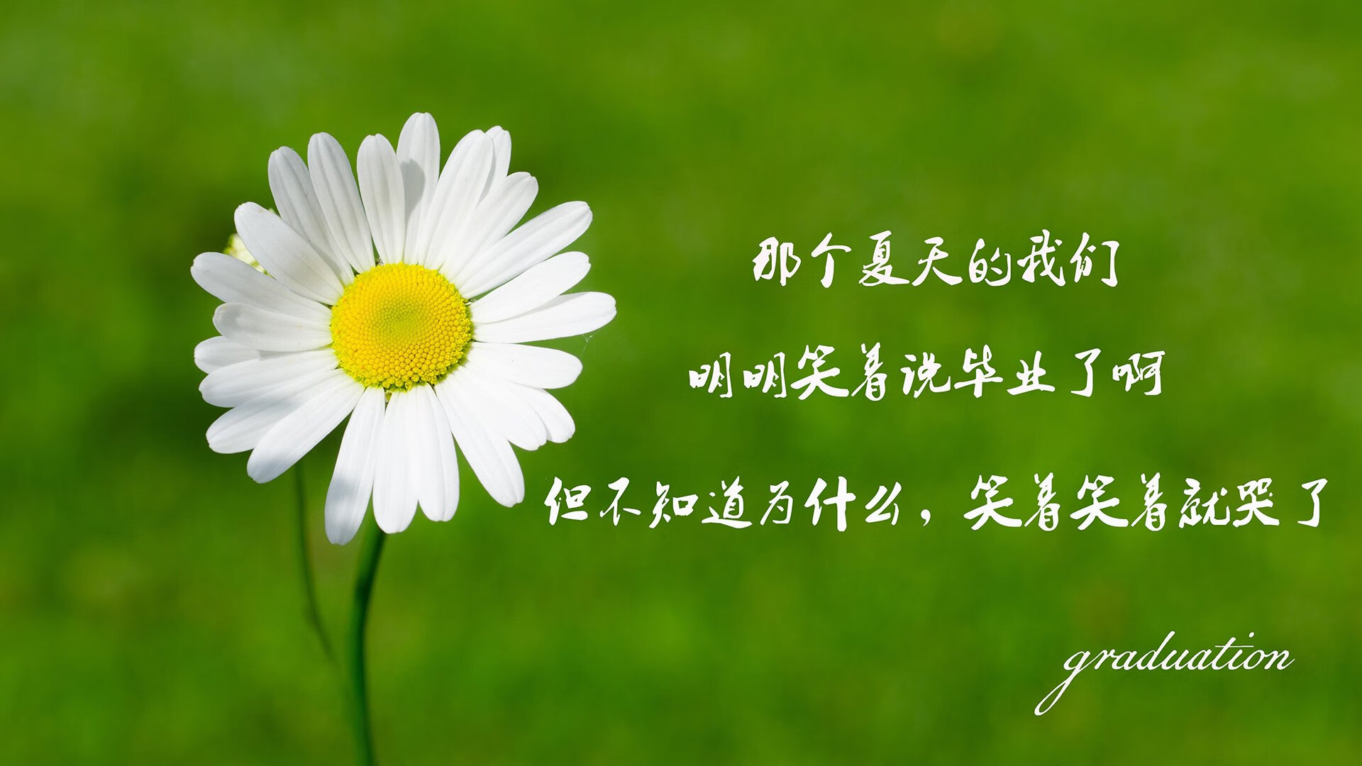 意甲：拉齐奥客场取胜，以大胜之势冲击前四，意甲拉齐奥独家赞助商