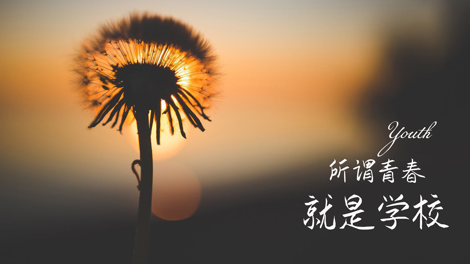 九游网页版官网-斯特拉斯堡打出进攻狂潮，取得胜利，斯特拉斯堡市