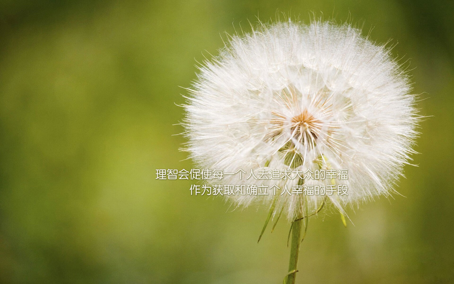 球队文化传承：历史悠久豪门的精神密码，球队文化包括什么