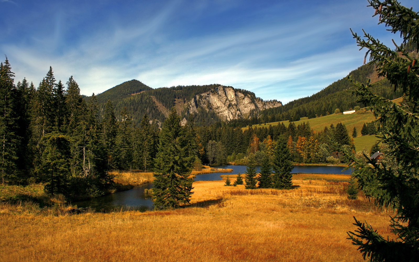 CBA联赛推动篮球文化交流促进体育合作，cba联赛合作伙伴