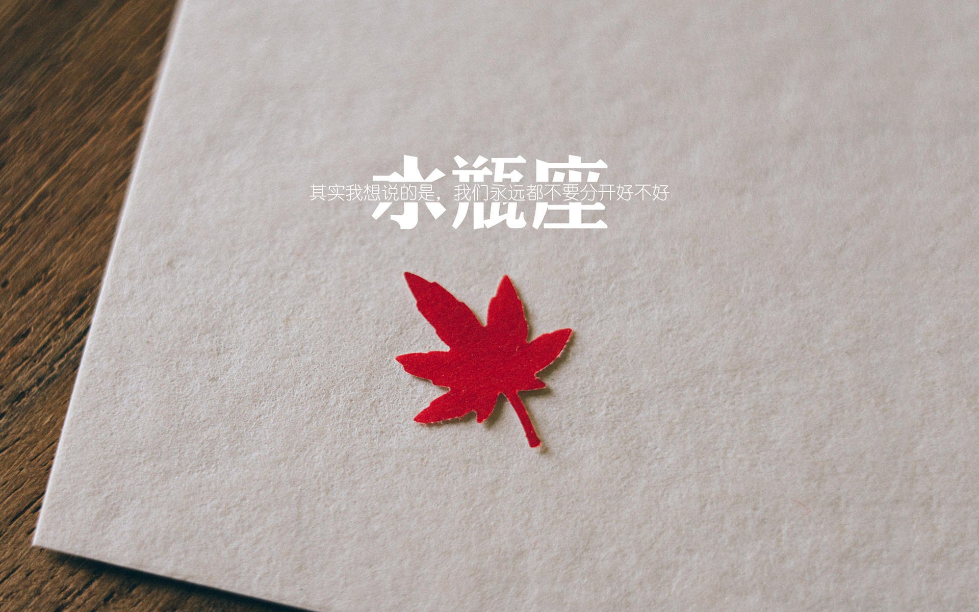 Chinese Taipei拼搏奋进,2024年乒乓世界杯注目表现,2024世乒赛在哪