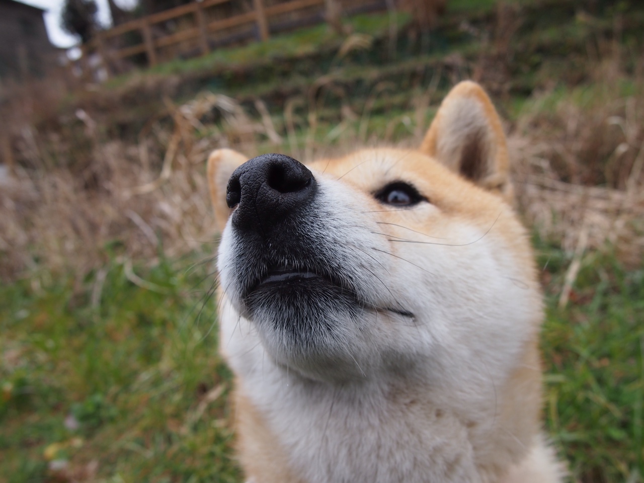 体育新闻中心推动体育内容跨境传播合作计划,体育产业新闻