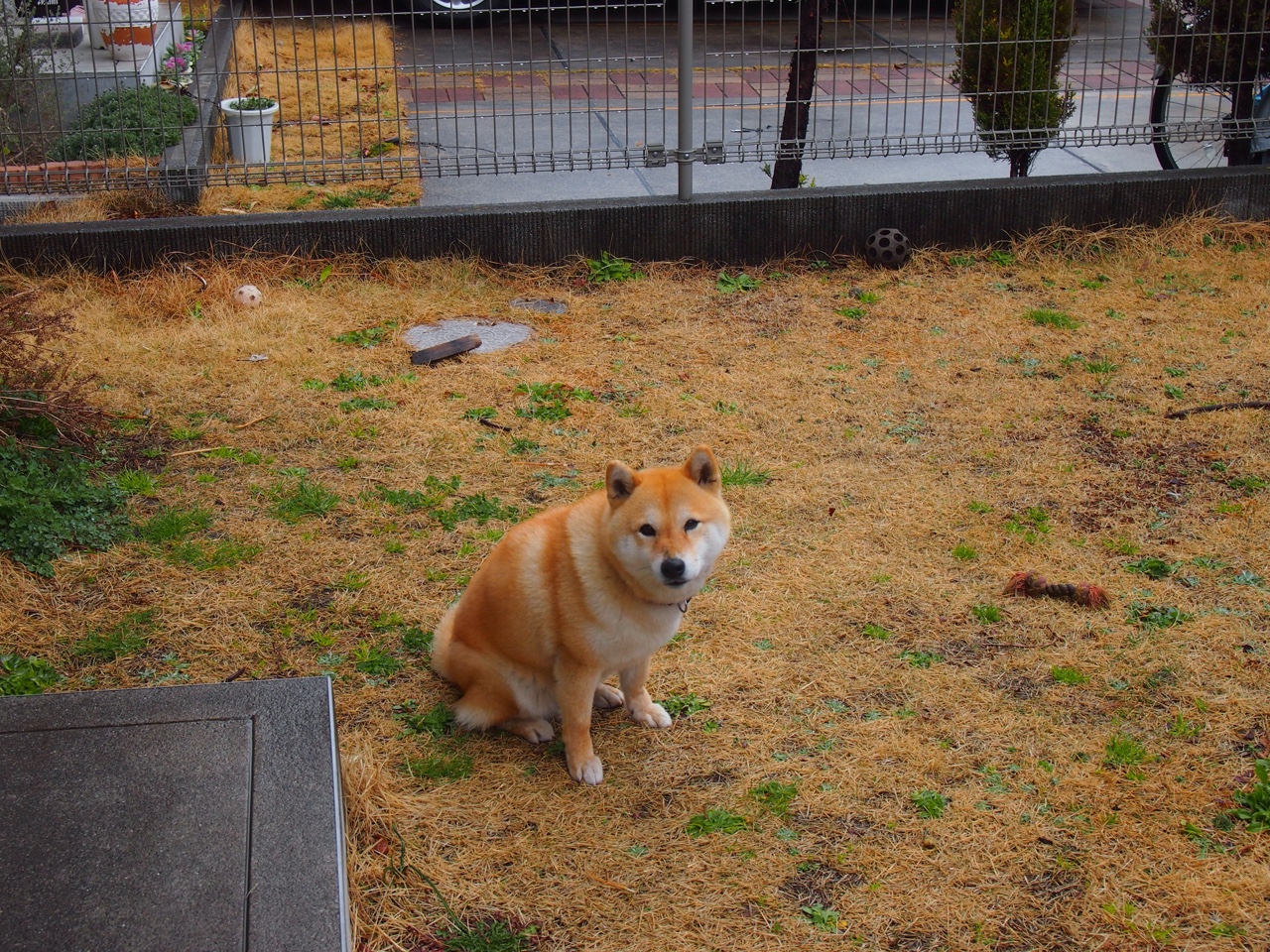 体育职业资格认证新标准正式实施，体育职业资格证书查询官网