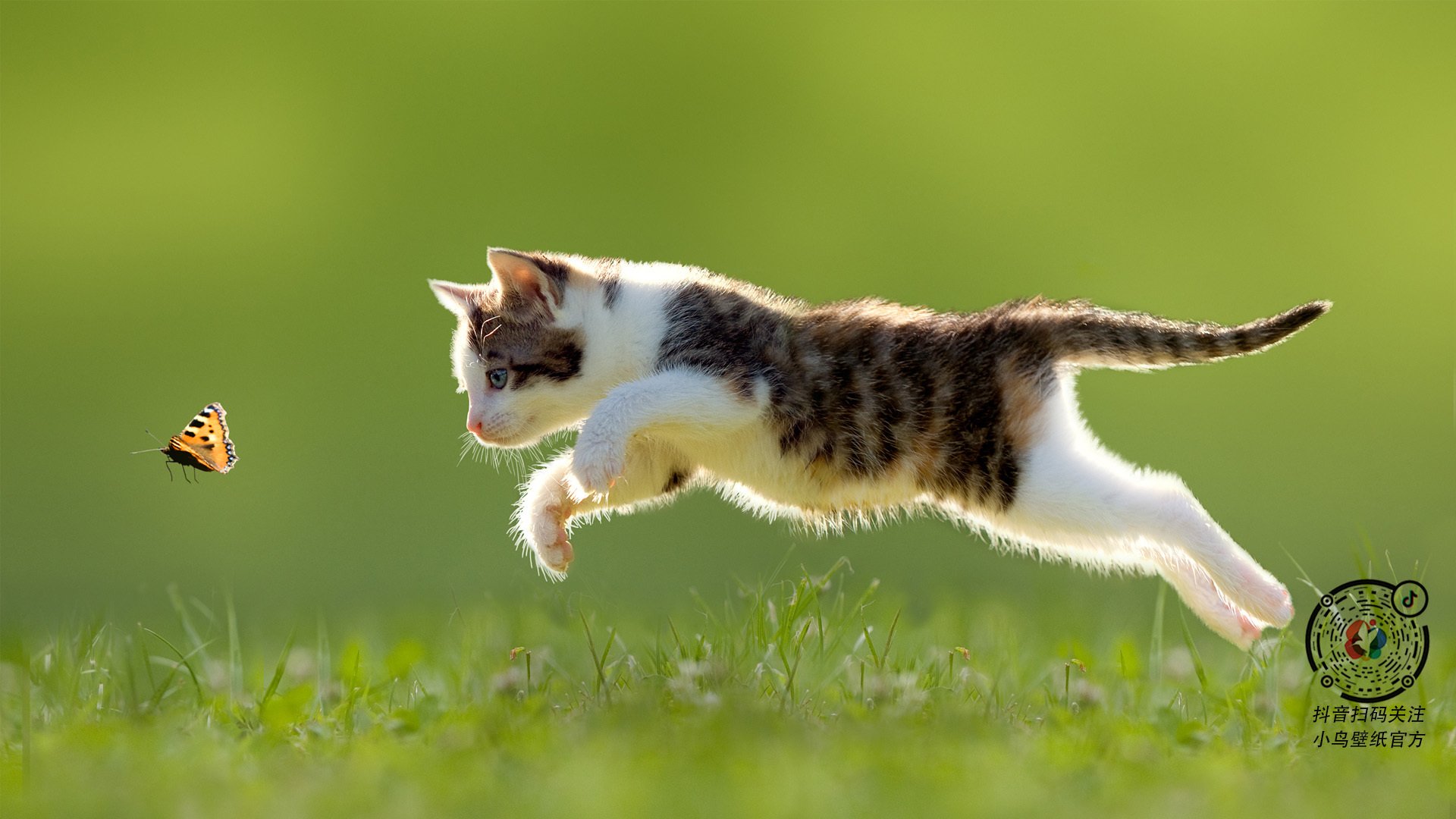 印度队未来战略：加强跨国交流与合作，提升国际竞争力，印度对外战略