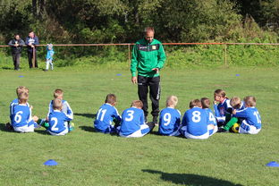 九游游戏中心-瑞典团队战术：从快攻到慢球的多变打法，瑞典几分钟进球