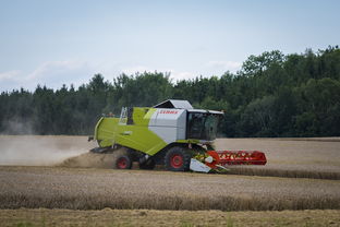 九游app下载中心-田径跨项目交流营探索协同训练新方式，田径跨栏的动作讲解