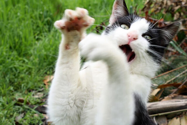 乌拉圭队士气高昂，期待在国际赛场大放异彩