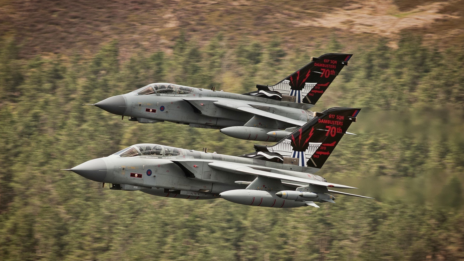 希腊女篮在欧洲锦标赛中继续豪夺金牌,传承辉煌,希腊女篮u20直播