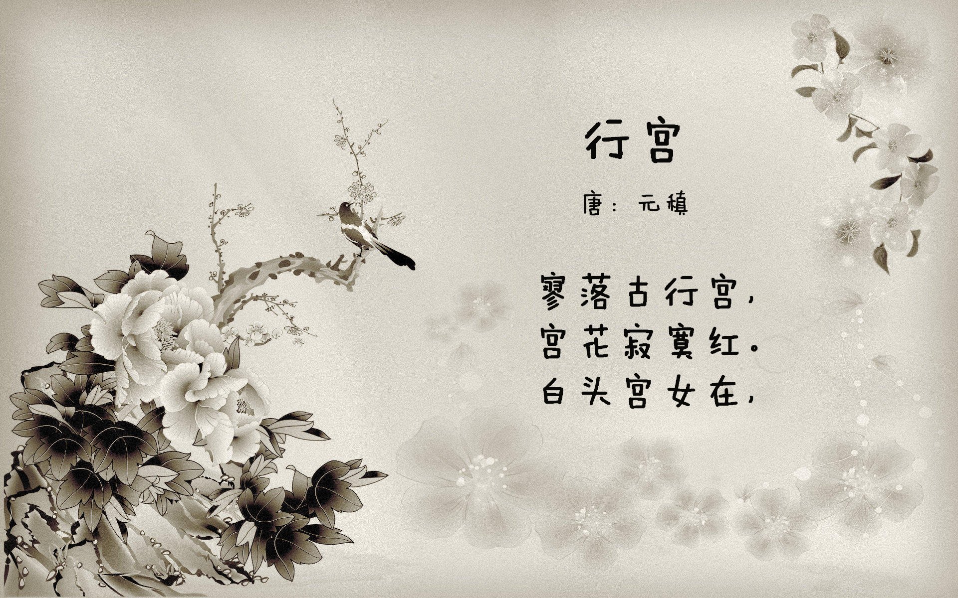 篮球训练营开营 助力青少年梦想，篮球训练营宗旨