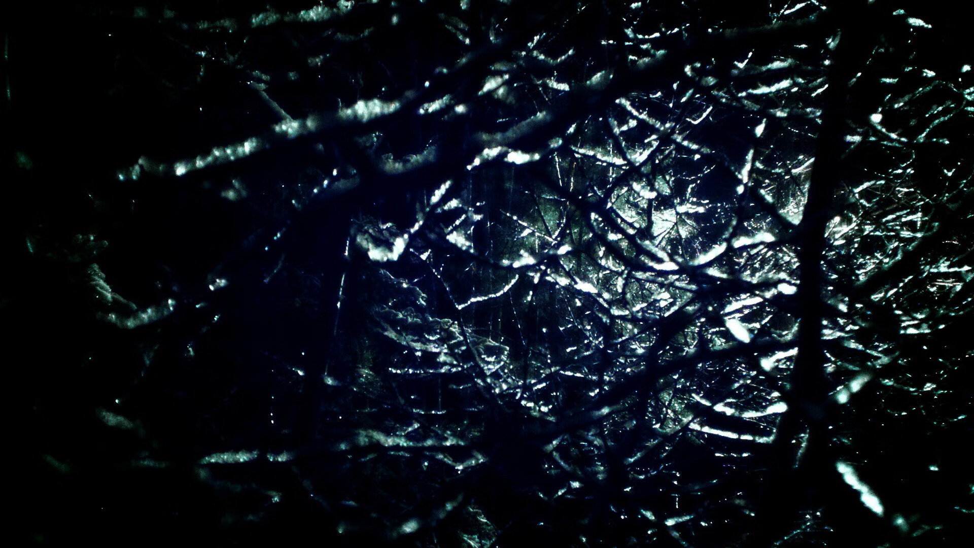 足球俱乐部青训成果展示未来可期，足球俱乐部青训营