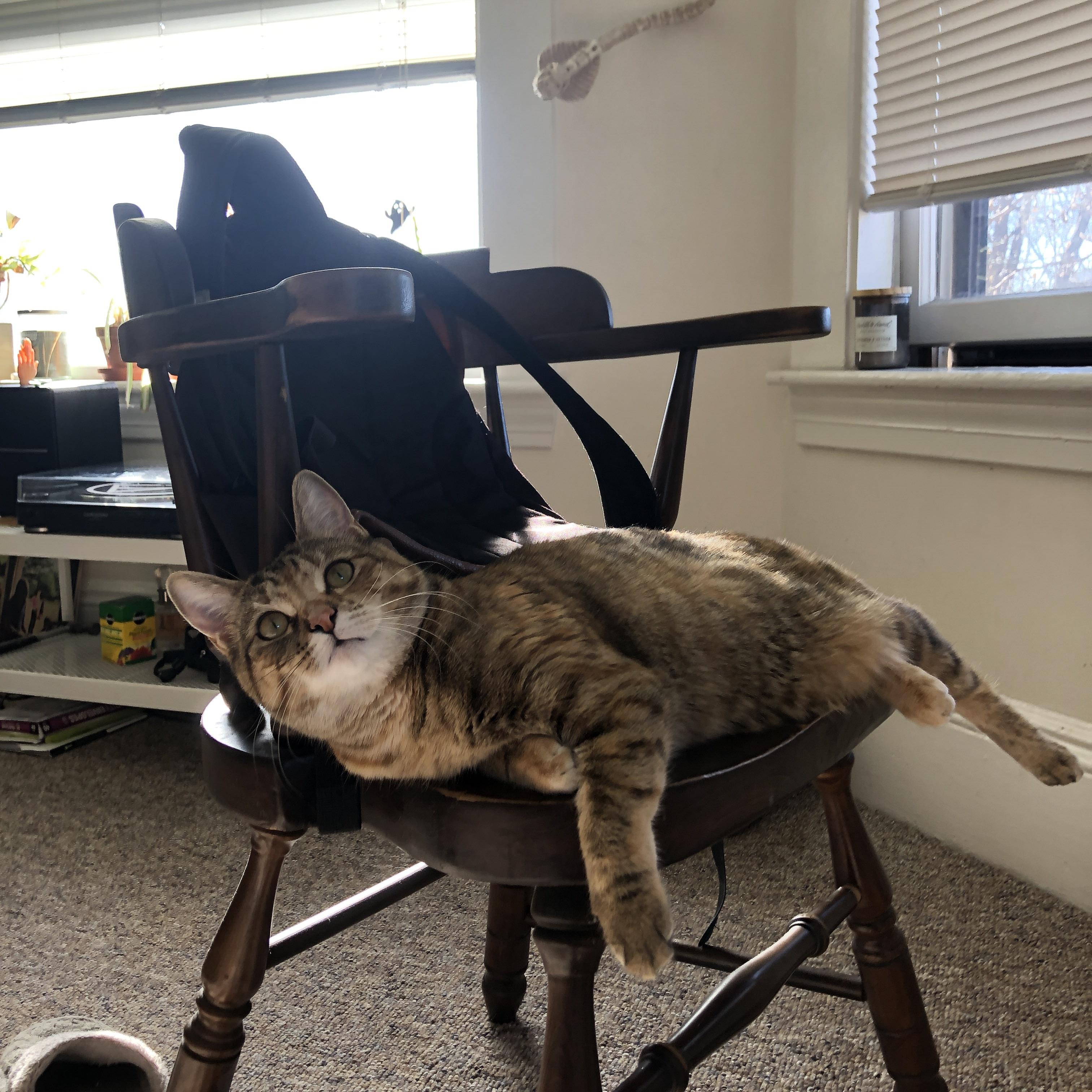 九游正版入口-足球运动员的个人品牌管理日益专业化，足球运动员的职业素养