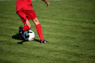 JiuyouAPP下载-内线球员在快节奏体系下的功能性演变，内线球员的主要作用